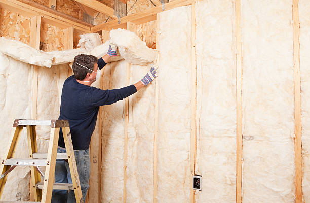 Best Attic Insulation Installation in Newark, NY